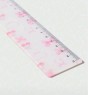 Student Cartoon Printed Ruler With Measurement Scale