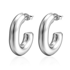 Silver Plated Earrings