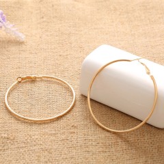 Simple Style Plain Metal Coated Ladies Hoop Earrings 1 Pair