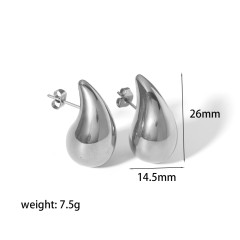 Stainless Steel Earrings Samll Steel Color 27*15*10