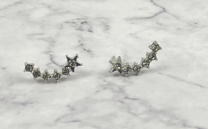Silver star Studded earrings