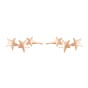 Simple star earrings