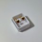 Gold Plated earrings
